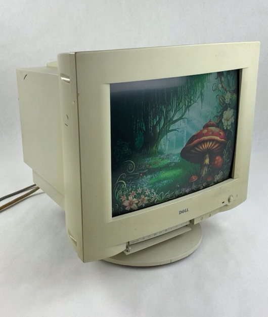 Dell 17" D1728D-LS 1280x1024 VGA CRT Monitor
