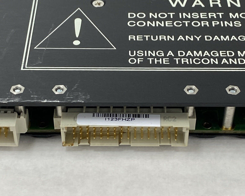 Triconex 3805E Enhanced Analog Output Module 7400246-110