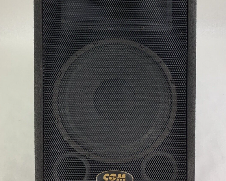 CGM ARM-112H-1-M 2-way Passive Monitor Wedge Speaker Tested