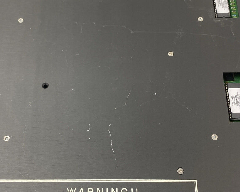 Triconex 3805E Enhanced Analog Output Module 7400246-110