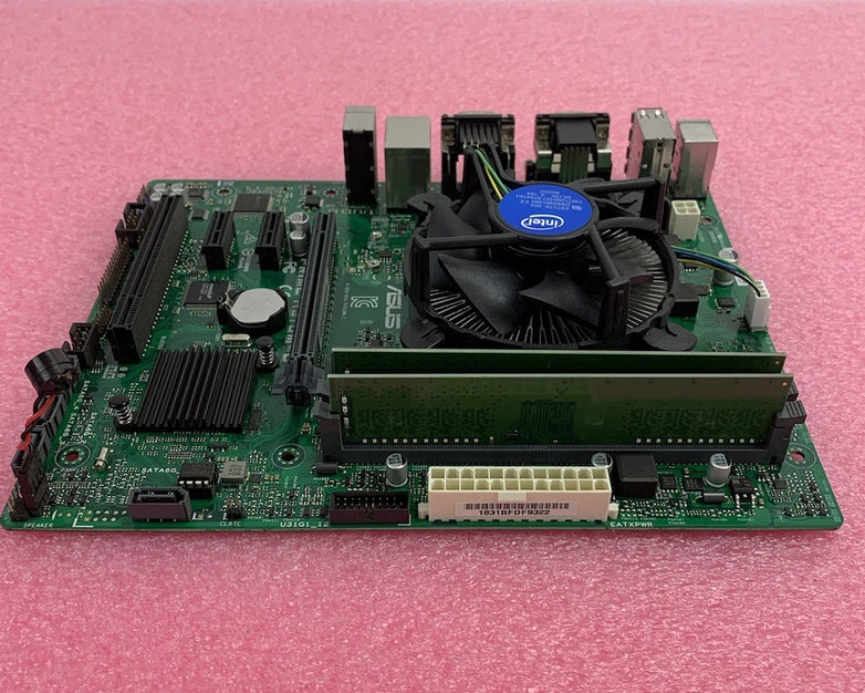 Asus Prime H310M-C Motherboard Intel Pentium Gold G5600 3.9GHz 8GB RAM w/ Shield