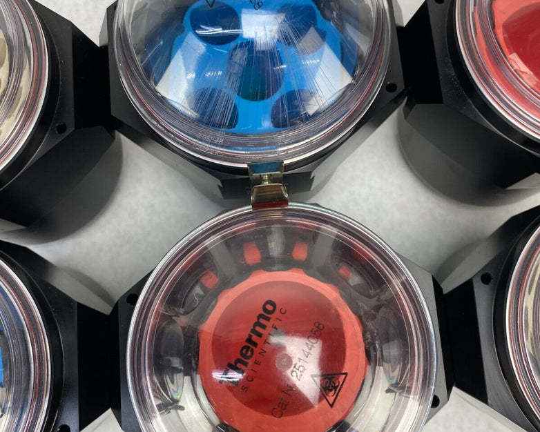 Lot of 6 Thermo Scientific Cat No. 11178135 P60/RP6 Centrifuge Buckets