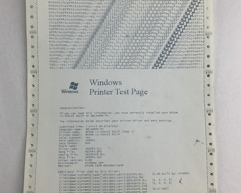 Epson LX-300+II P170B Dot Matrix 9-Pin Printer Bad Paper Feed Tested No Ribbon