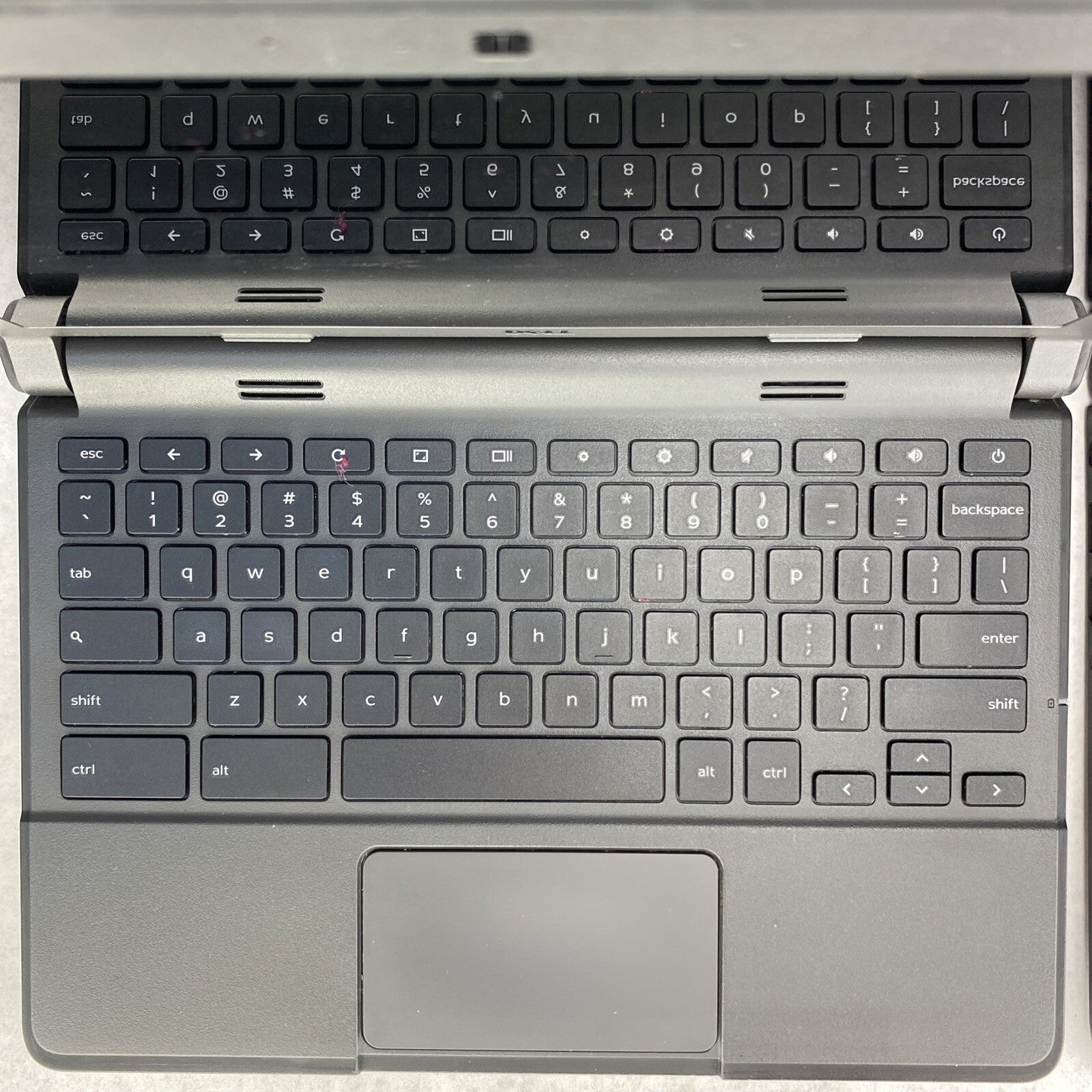 44520030