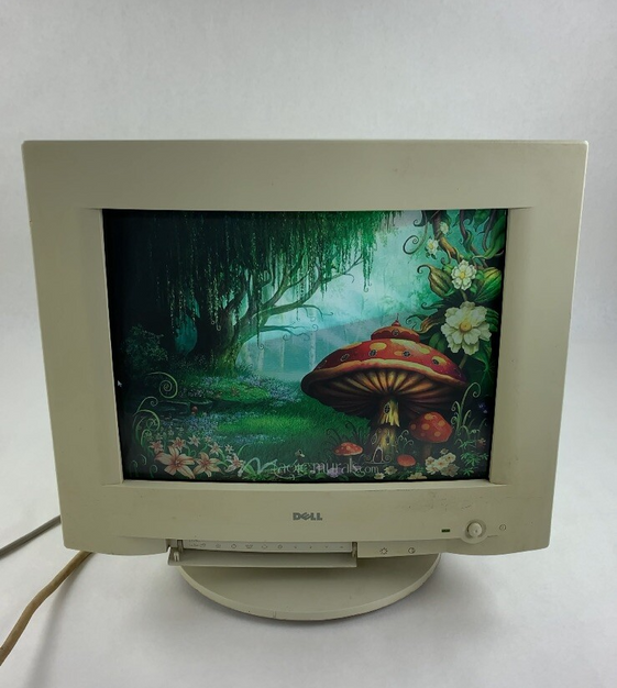 Dell 17" D1728D-LS 1280x1024 VGA CRT Monitor