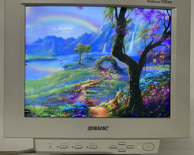 Sony 100SX CPD Trinitron Multiscan CRT VGA Monitor Tested