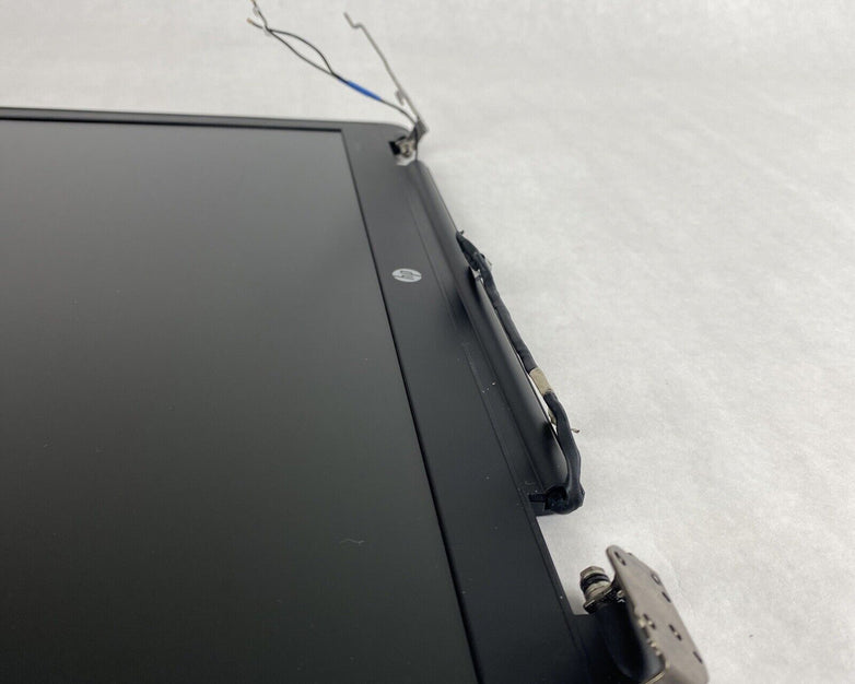 HP ProBook 655 G2 Black Matte Screen Assembly with Webcam (Lot of 2)