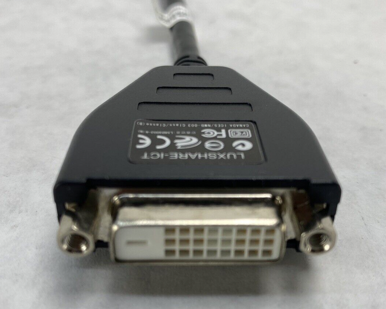 Lot of 10 Dell DP/N 023NVR DisplayPort Male to DVI Female Adapter