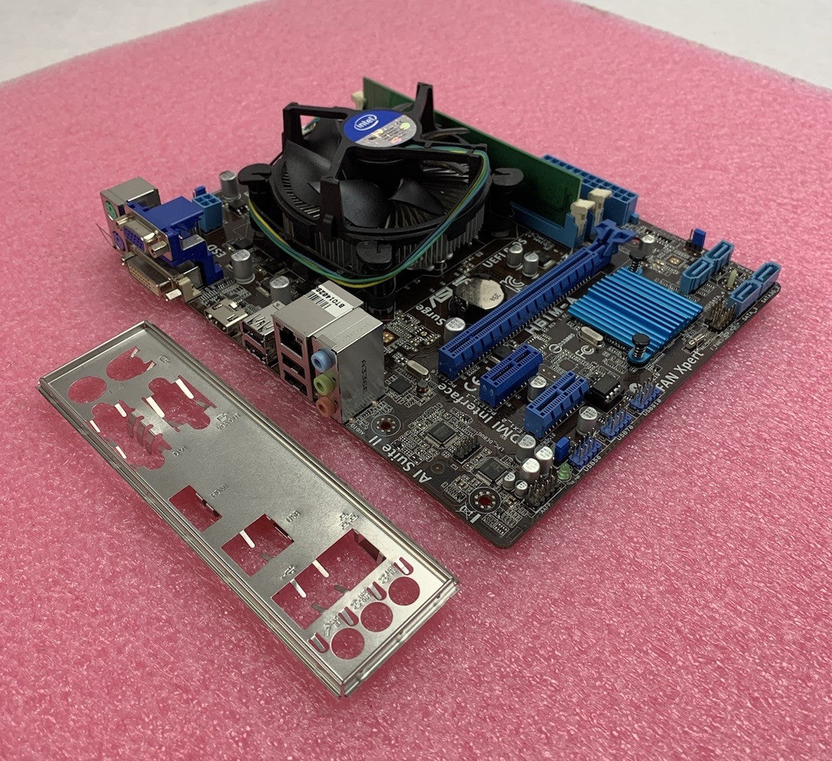 45954951