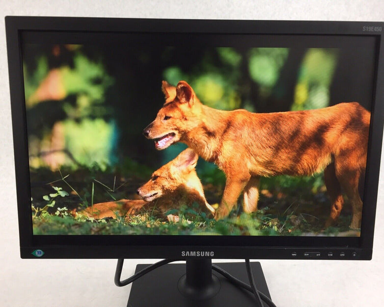 Samsung 19" SE450 Series LED Monitor S19E450BW 1440 x 900 pixels C Grade