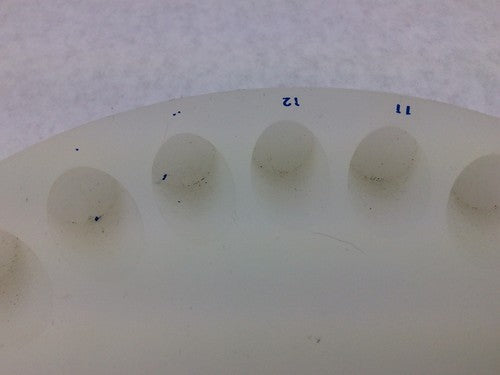 Beckman Coulter Centrifuge Tray