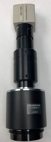 epi