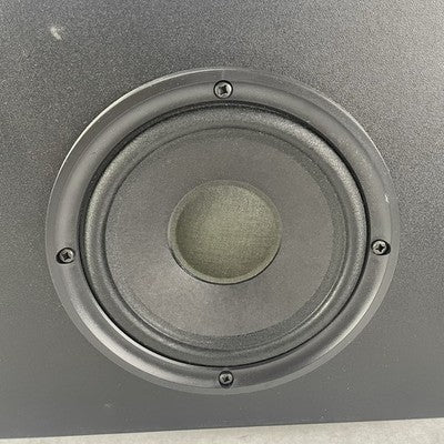 Bose 201 Series IV Direct Reflecting Left/Right Speaker Set