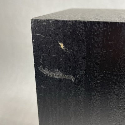 Panasonic SB-ZT220 Home Stereo Bookshelf Speakers Set Of 2 Tested