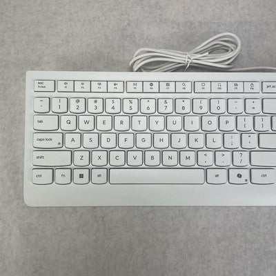 Lenovo EKB-536A USB Wired Keyboard White