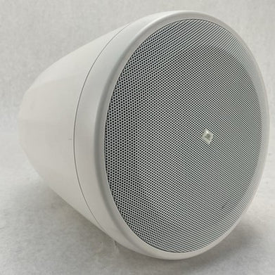 1 JBL Professional C65P/T Compact Full-Range Hanging Pendant Speaker