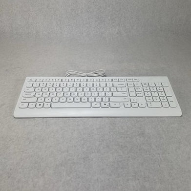 Lenovo EKB-536A USB Wired Keyboard White