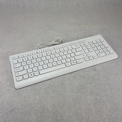 Lenovo EKB-536A USB Wired Keyboard White