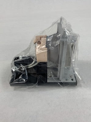 Electrified Lamps 20-01175-20 Replacement Projector Lamp
