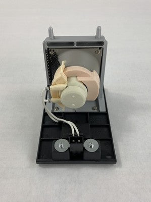 Electrified Lamps 20-01175-20 Replacement Projector Lamp
