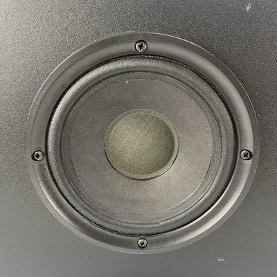Bose 201 Series IV Direct Reflecting Left/Right Speaker Set