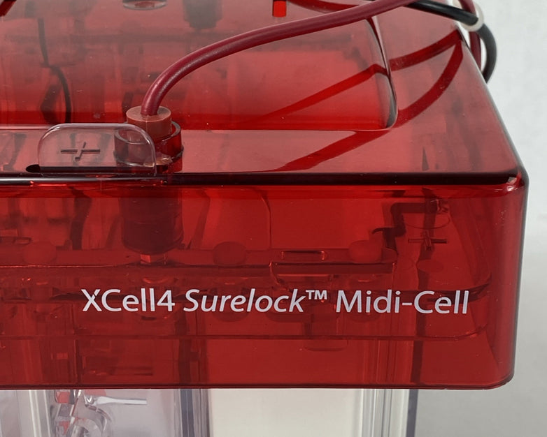 Invitrogen Novex XCell4 SureLock Midi-Cell Electrophoresis Cell