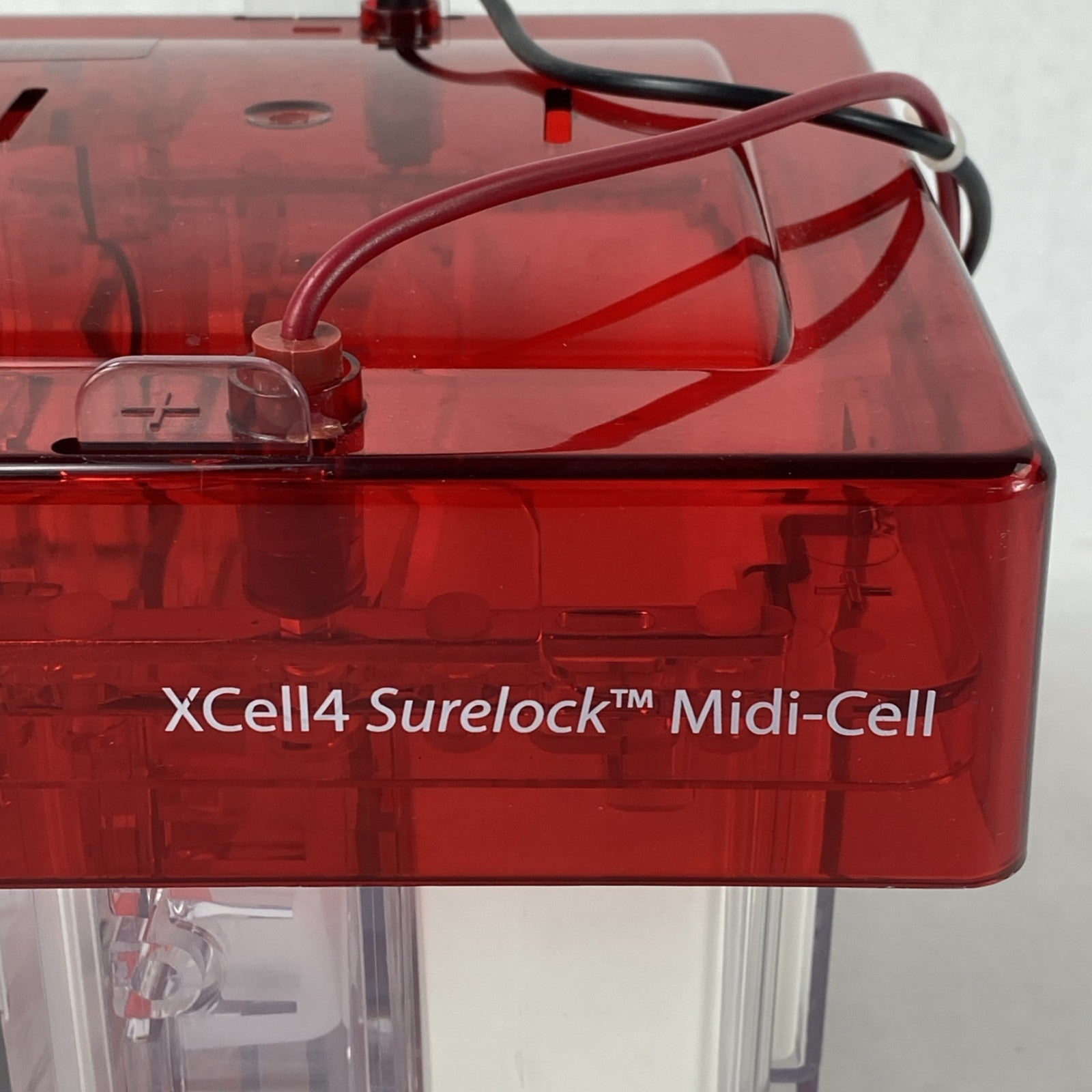 Invitrogen Novex XCell4 SureLock Midi-Cell Electrophoresis Cell9
