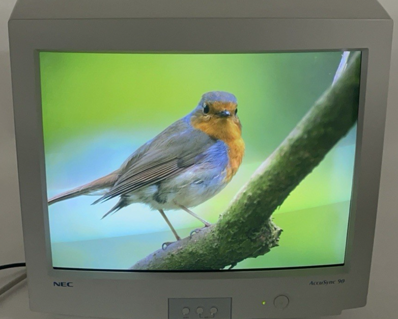 NEC AccuSync 90 17.5" AS90 N903 VGA 85hz CRT Tested