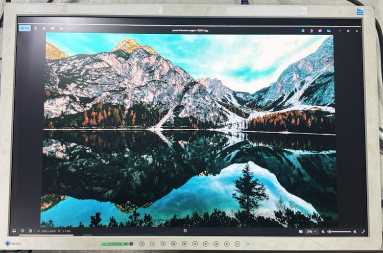 EIZO FlexScan S2243W 24" Wide LCD Monitor 1920×1200 White Tested No Stand