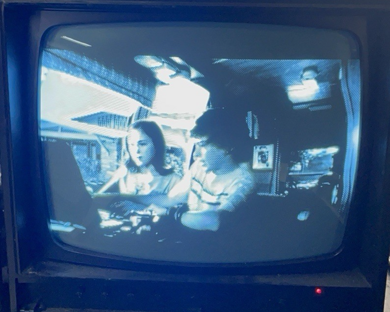 Sanyo VM-4515 Vintage B&W CRT 1993