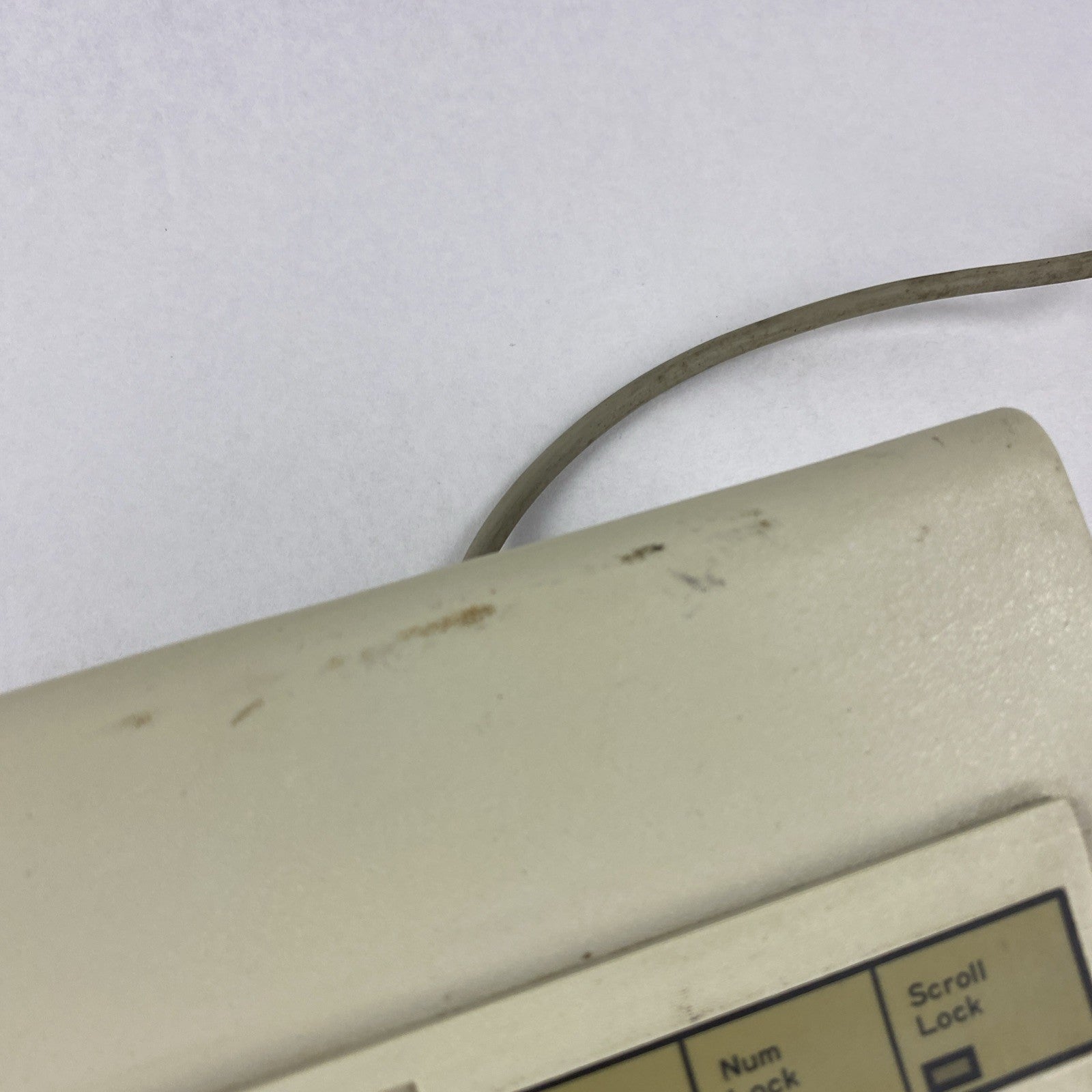 Vintage Focus Electronic FSQ4VYFK-555 Mechanical Keyboard -  Alps SKCM Switches6