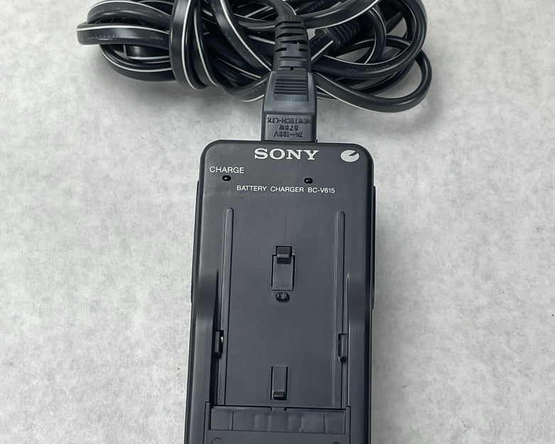 Sony DSC-D700 Digital Still Camera Tested Lens Issue