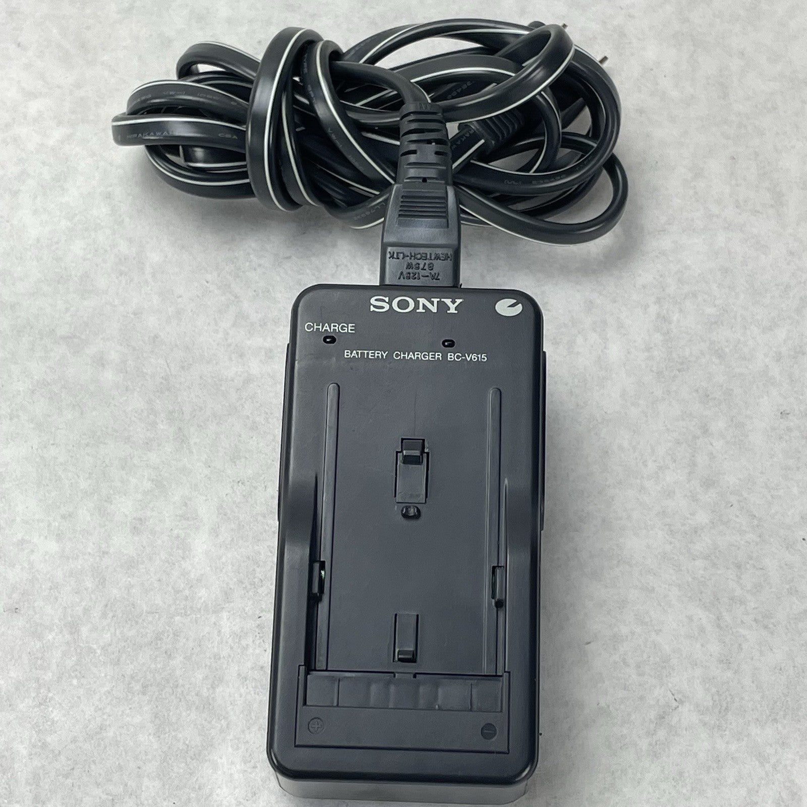 Sony DSC-D700 Digital Still Camera Tested Lens Issue7