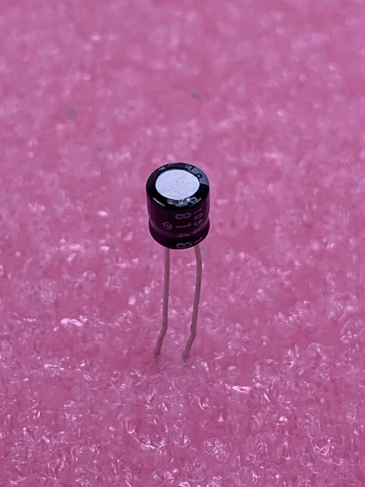 ELNA 16V 22µF Electrolytic Capacitor (Lot of 24)