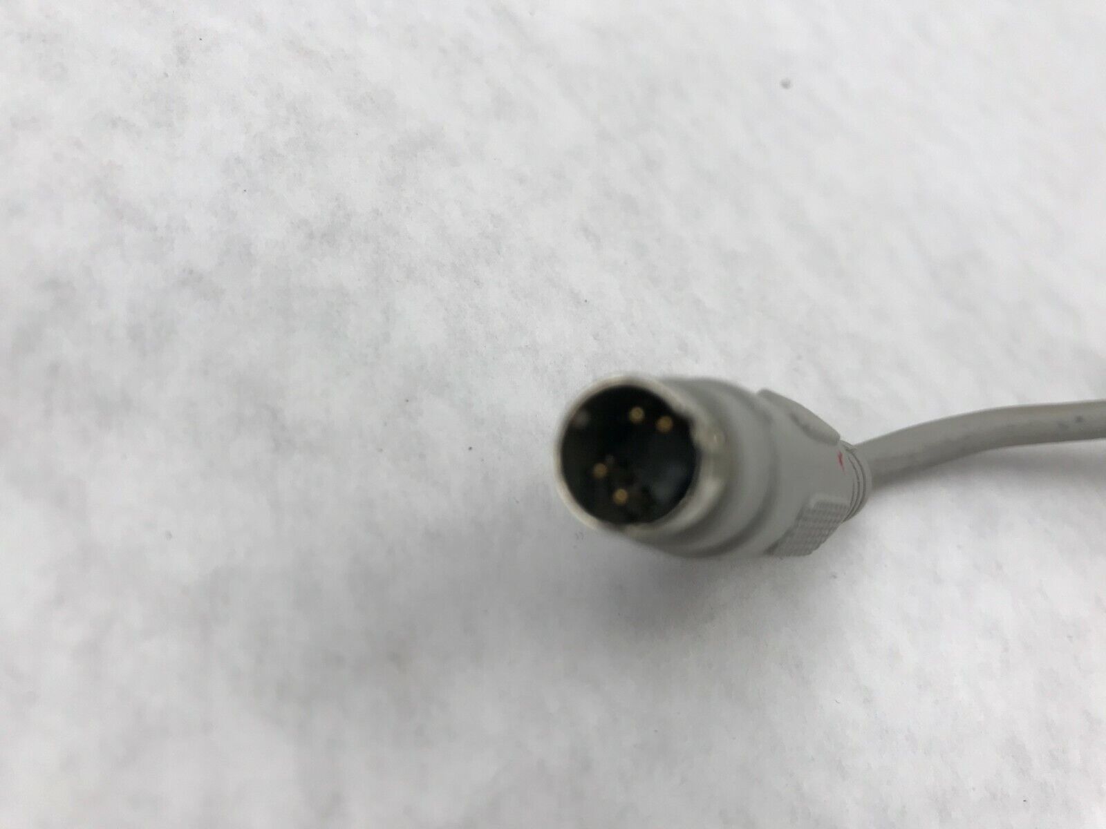 MicroStation MAC Rainbow Technologies Inc Eve