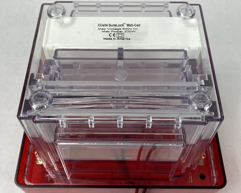 Invitrogen Novex XCell4 SureLock Midi-Cell Electrophoresis Cell