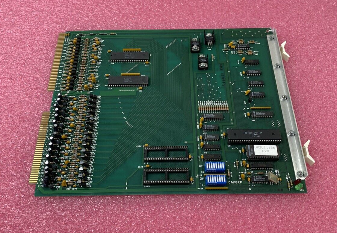 43831040