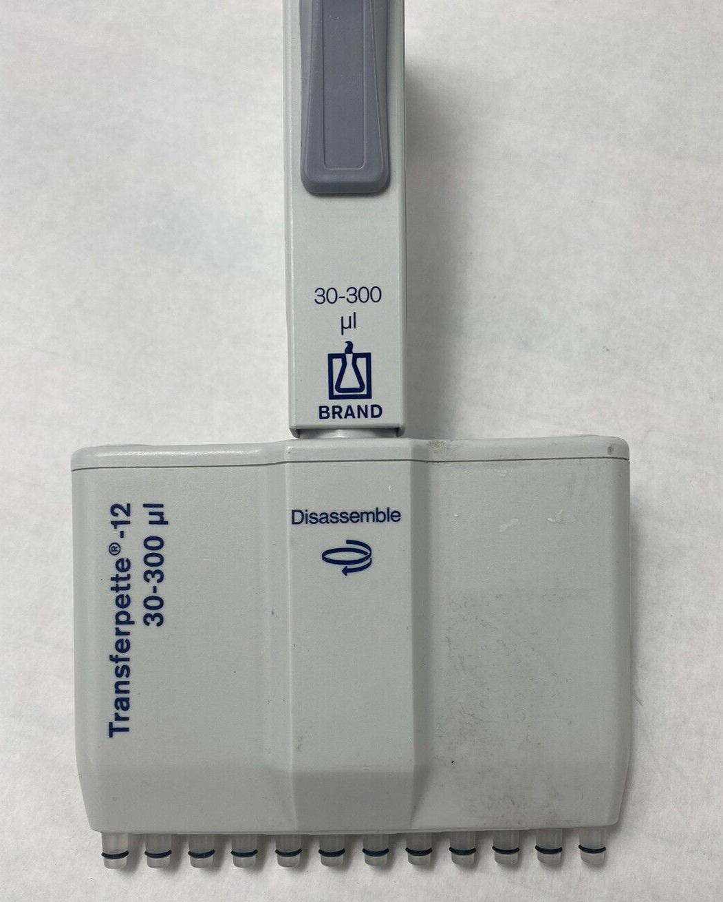 43884247