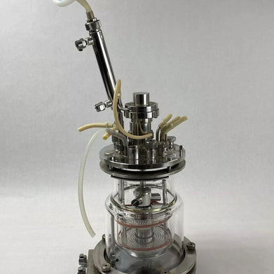 New Brunswick Scientific C842 Glass Jacketed Vessel Bioreactor