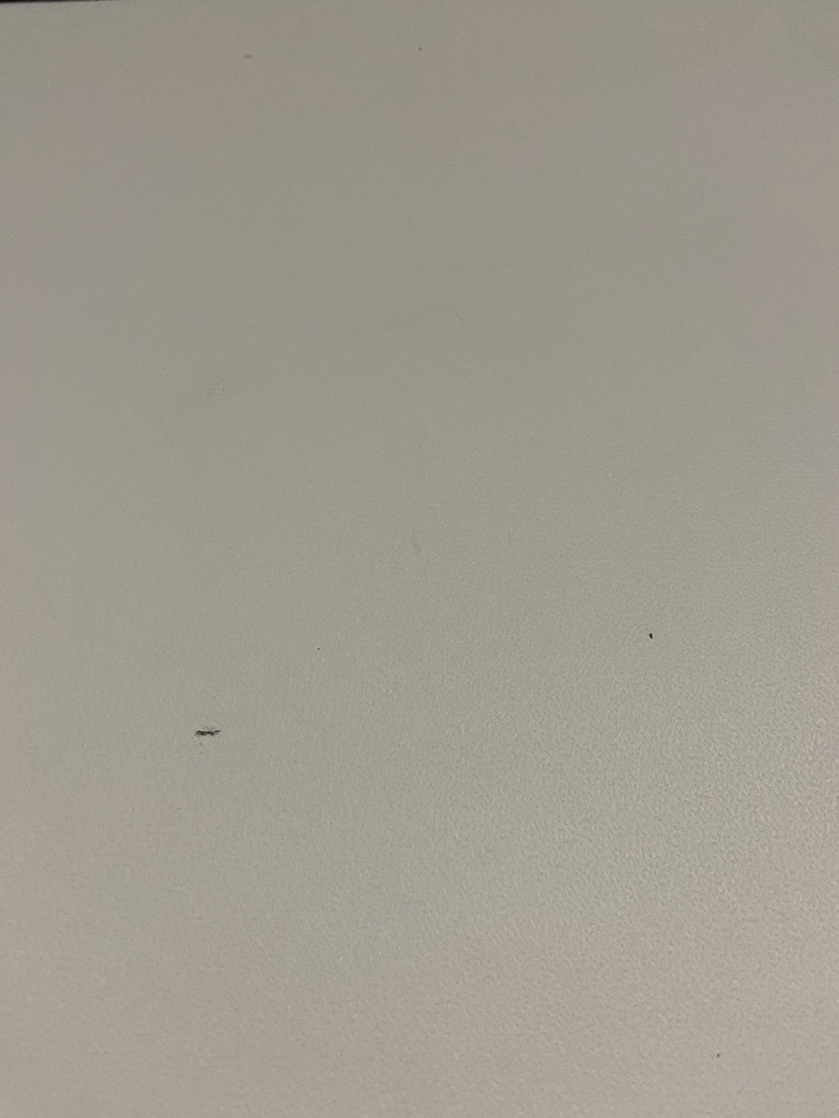 45669066