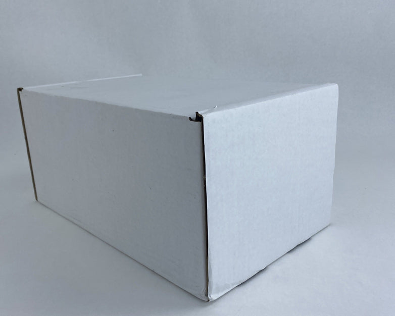Avigilon H4-MT-CRNR1 White Corner Mount Bracket Lot of 2