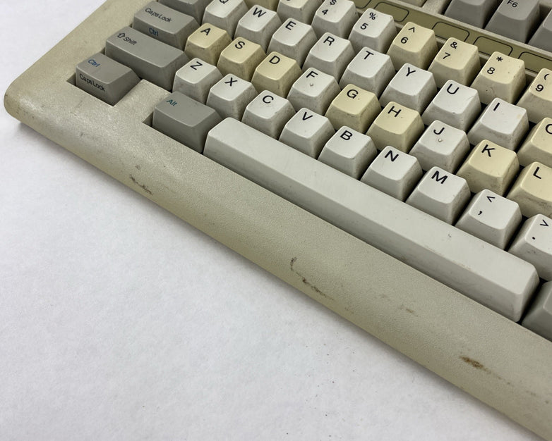 Vintage Focus Electronic FSQ4VYFK-555 Mechanical Keyboard -  Alps SKCM Switches