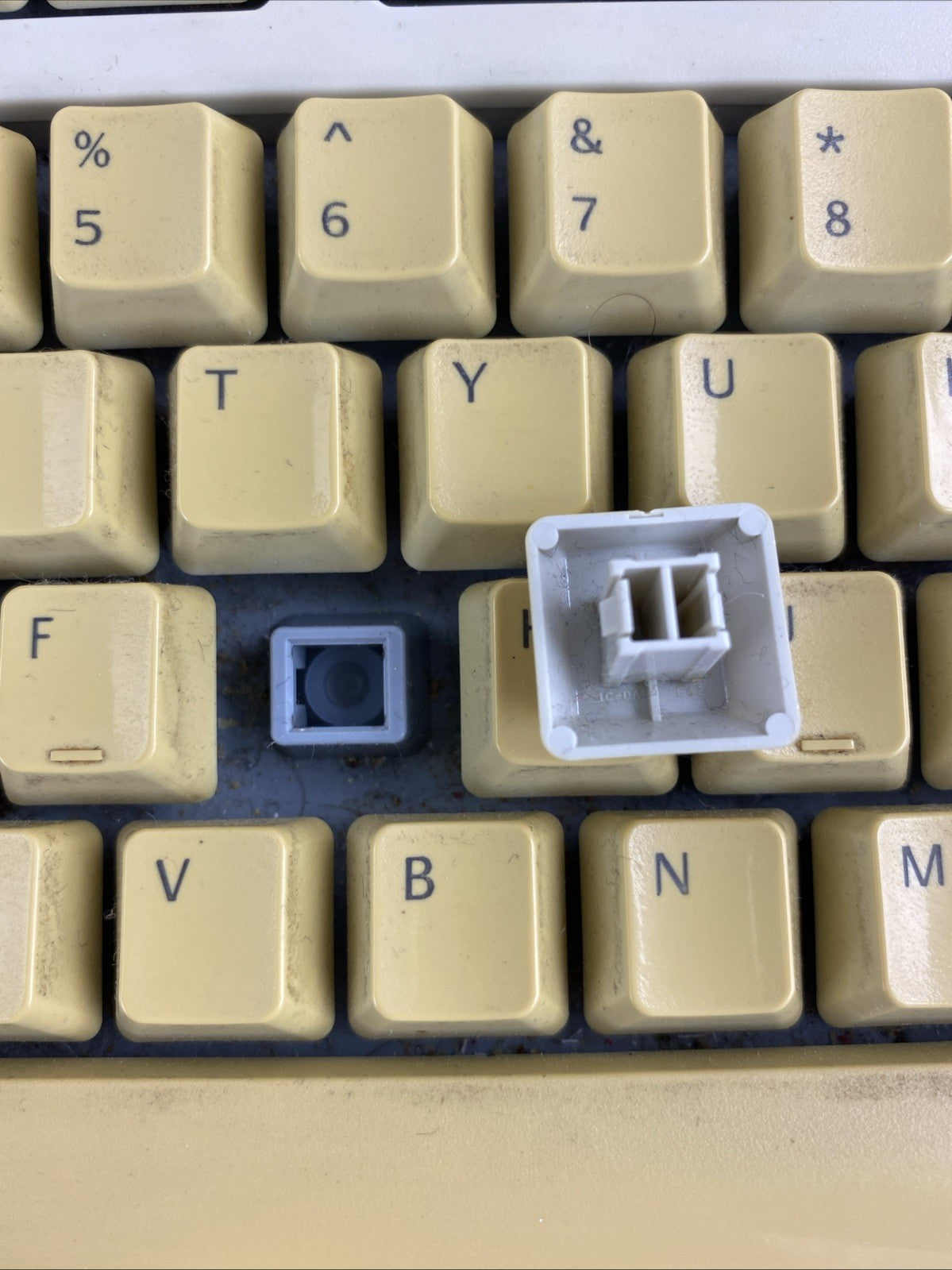 Logitech Y-SG13 PS/2 104-Key QWERTY Wired Membrane Keyboard17