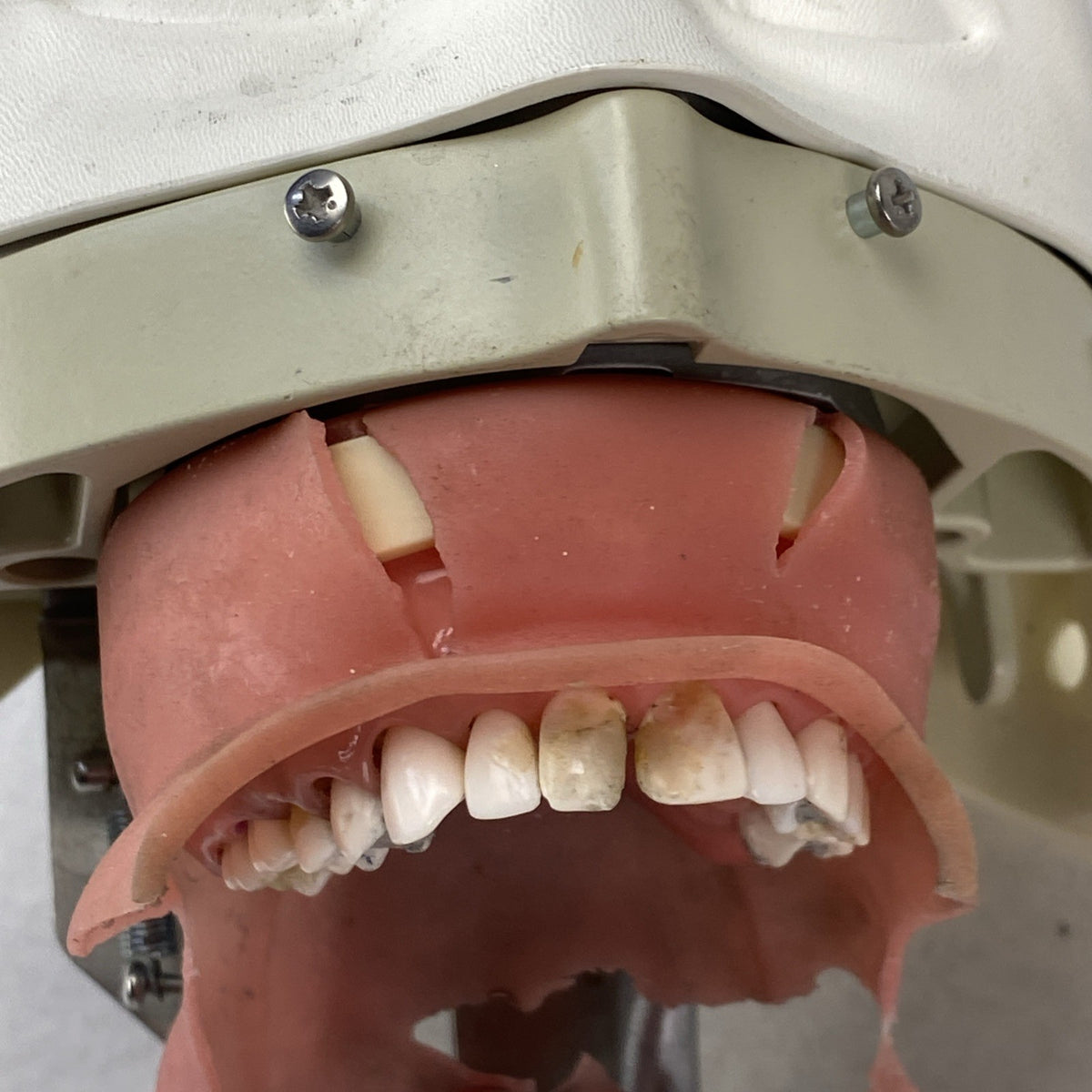 Kilgore International Dental Phantom Head Manikin10