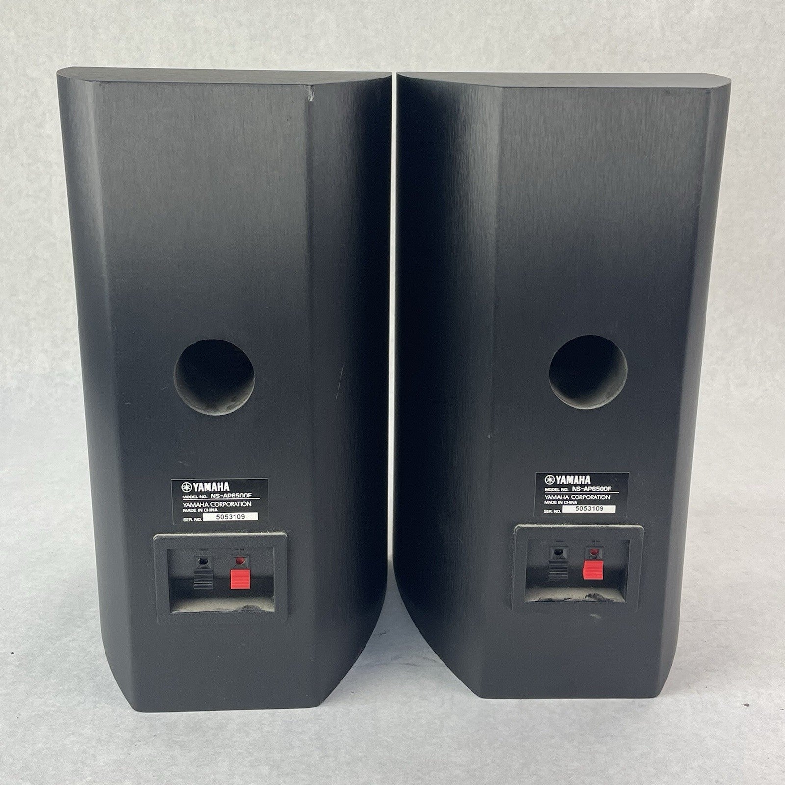 Yamaha NS-AP6500F Bookshelf Speakers Pair Tested6