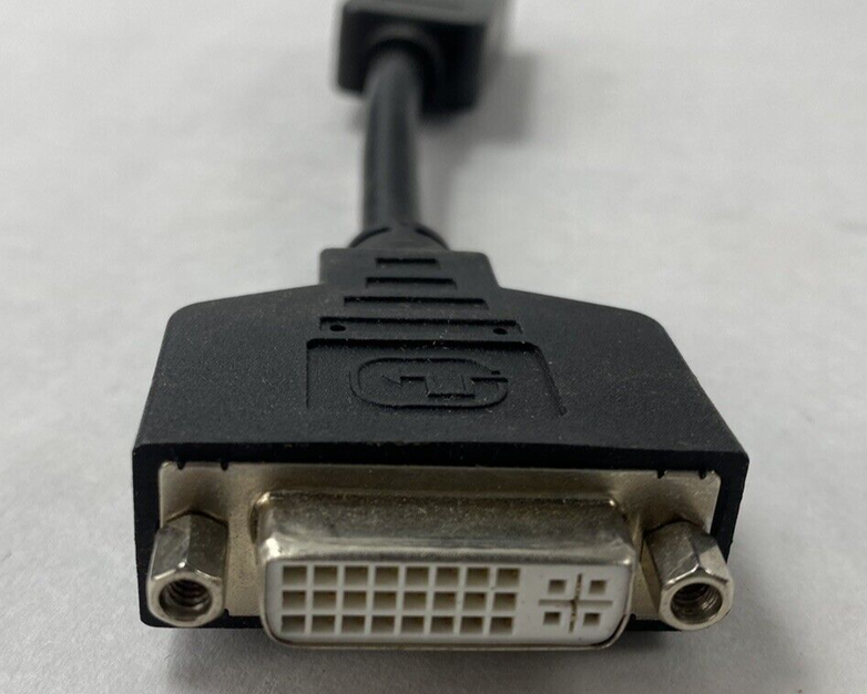 Lot of 8 Tripp-Lite P134-000 DisplayPort Male to DVI Female Adapter