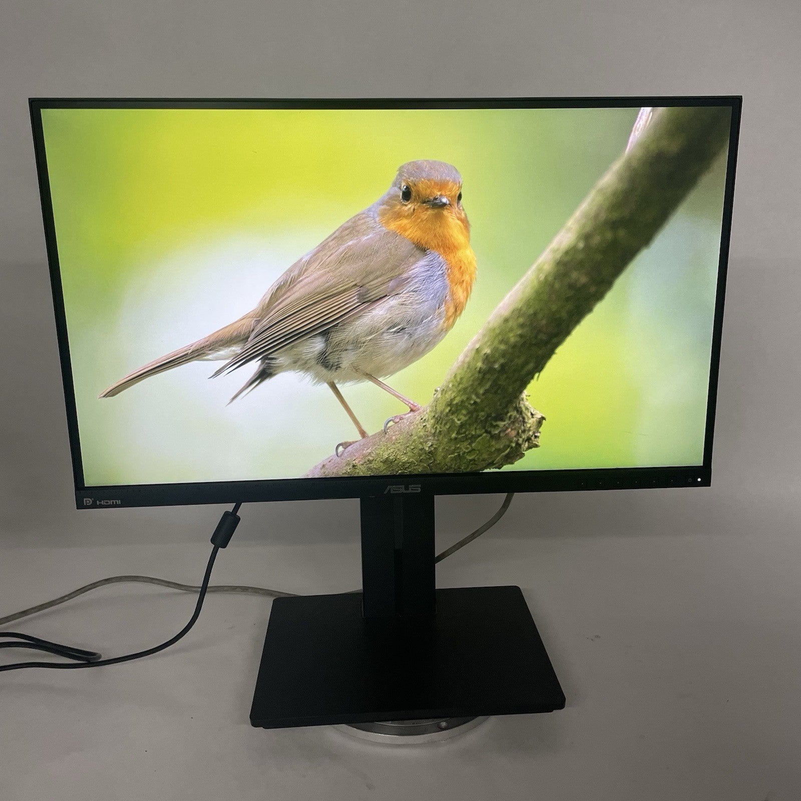 Asus PB258 25" Monitor Resolution: 2560x1440 QHD @ 60Hz Finish: Matte1