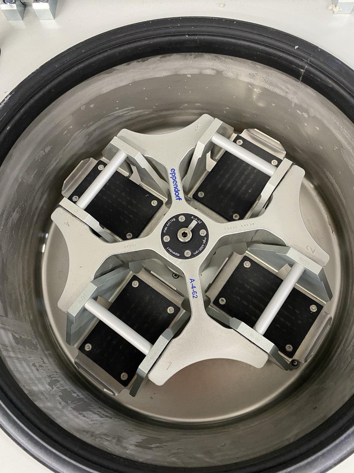 45050599