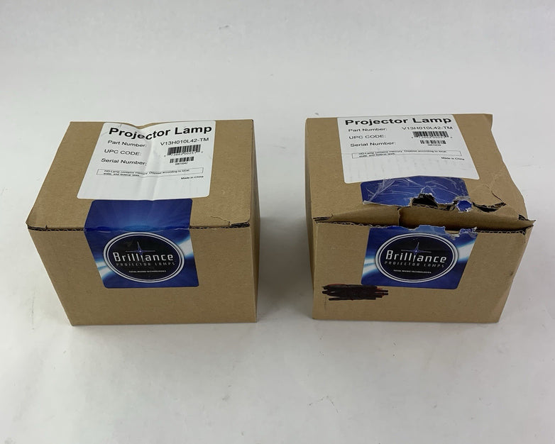 Brilliance V13H010L42-TM Projector Lamps - New