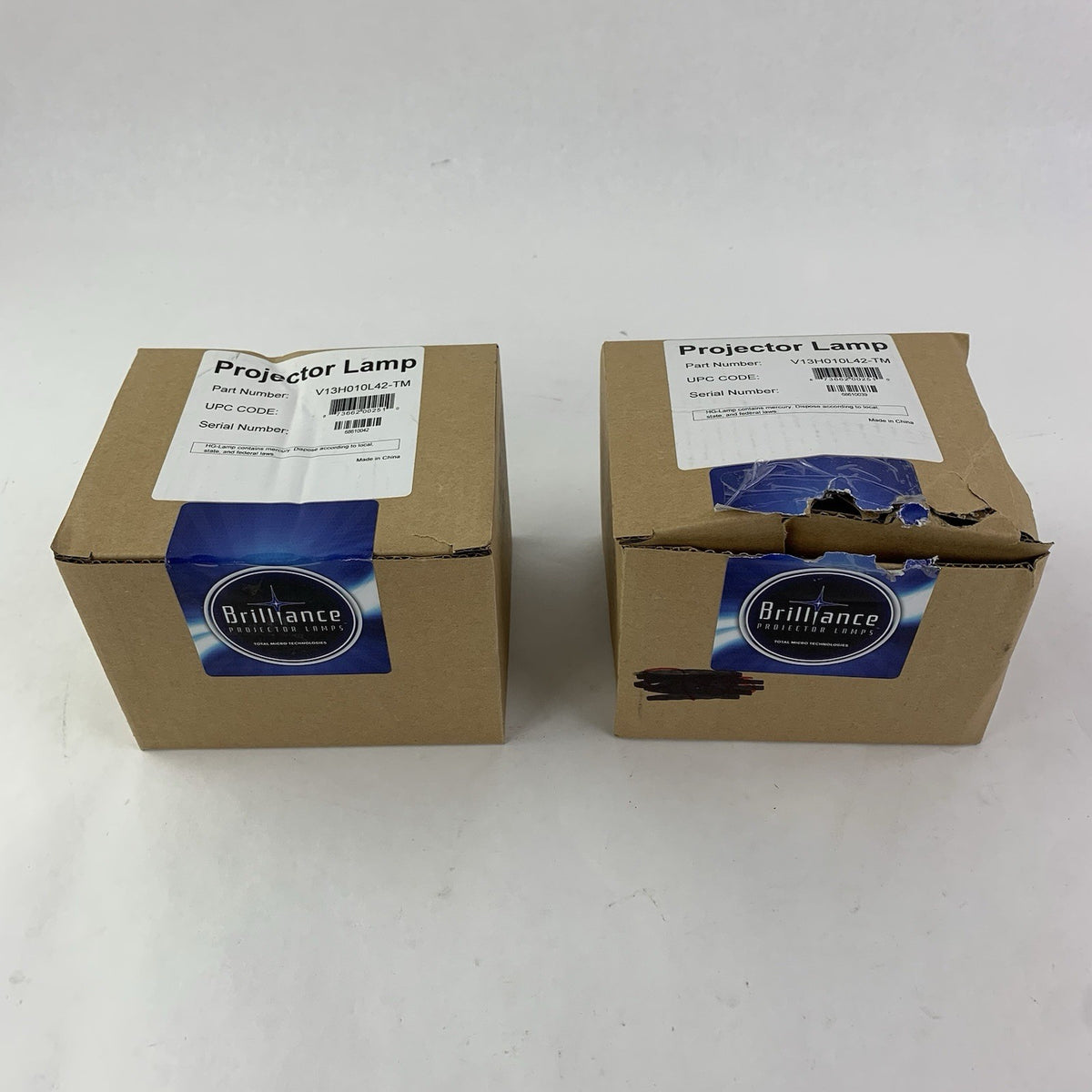 Brilliance V13H010L42-TM Projector Lamps - New1